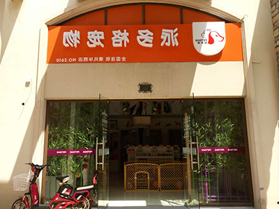 品牌选择 品牌选择